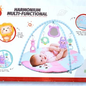Harmonium Multifunctional – Blue